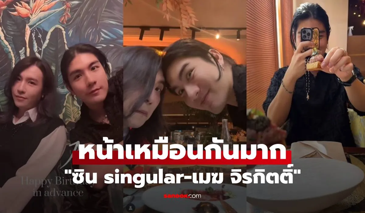 ซิน singular