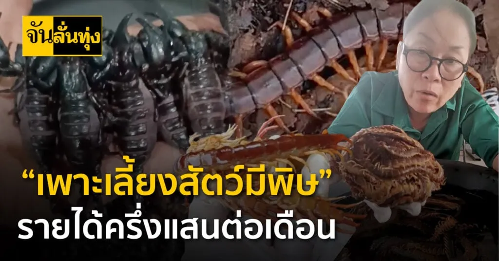 จาก สัตว์มีพิษ สู่ ธุรกิจที่สร้างรายได้ล้นหลาม อาชีพ “เพาะเลี้ยงสัตว์มีพิษ”