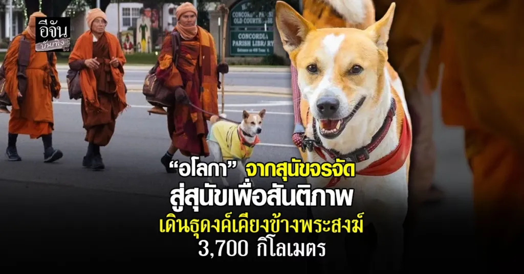 อโลกา (Aloka)