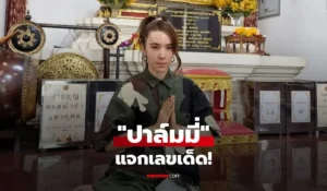 ปาล์มมี่
